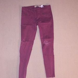 New without tags! Hollister size 5 burgundy jeans!